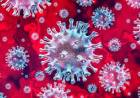 Sobre el Coronavirus y los adoradores del Mercado