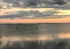 TRES LAGUNAS BONAERENSES PARA CONECTAR CON LA NATURALEZA