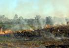 Charla abierta: Ley de humedales e incendios forestales