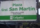 Se recambiará un cedro en la plaza San Martín