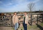 Marisa Fassi intercedió por los 60 caballos abandonados en un campo de Cañuelas