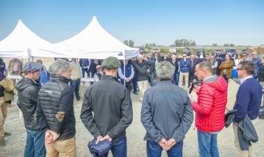 Presentan el proyecto del Mercado Agroganadero a las 45 consignatarias