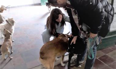 Suspenden la vacunación en el Barrio San Ignacio