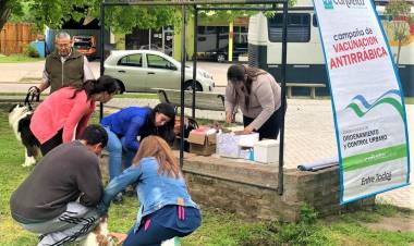 Campaña de vacunación antirrábica en La Verónica y Udaondo