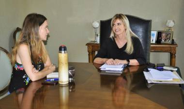 Proyección en políticas de género