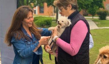 Vacunación antirrábica gratuita