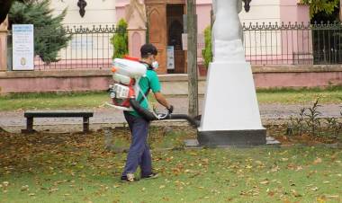 El Municipio continúa con la fumigación en distintos puntos de la ciudad