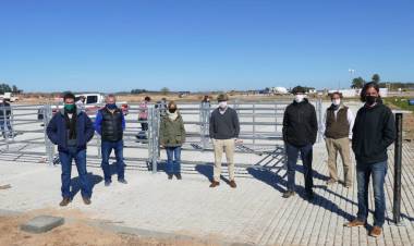 Se reactivaron las obras del Mercado Agroganadero próximo a su apertura