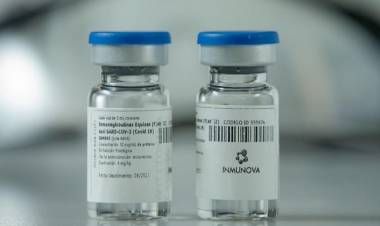 COVID-19: Probarán en humanos el suero hiperinmune anti-COVID-19 desarrollado en la Argentina