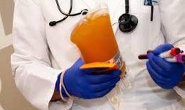 COVID-19: declararon de Interés Municipal la donación de plasma en Cañuelas