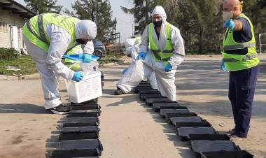 Desratización y desinfección en el Ecopunto
