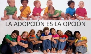 Capacitación para adopciones