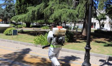 Continúan las tareas de desinfección y fumigación