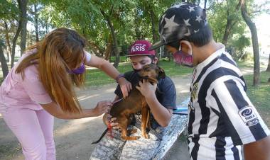 Continúan los operativos de vacunación de mascotas