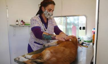 Nuevo operativo para el cuidado de la salud animal