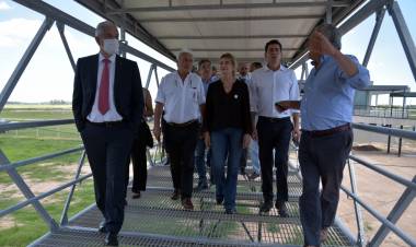 Visitaron las instalaciones del nuevo Mercado Ganadero de Cañuelas