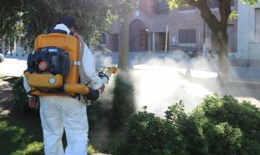 OPERATIVOS DE FUMIGACIÓN CONTRA EL DENGUE