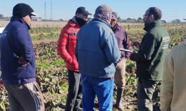 Detectan graves irregularidades en establecimientos agropecuarios de Cañuelas