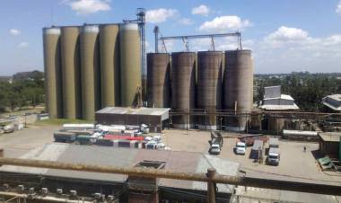  Molino Cañuelas firmó un convenio con PCR para el abastecimiento de energía renovable