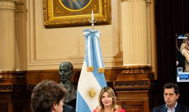 Avanza en el Senado la creación de la Universidad Nacional de la Cuenca del Salado