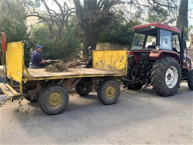 Continúa el mantenimiento urbano