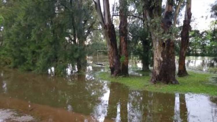 Todas las familias evacuadas regresaron a sus hogares luego del temporal de lluvia