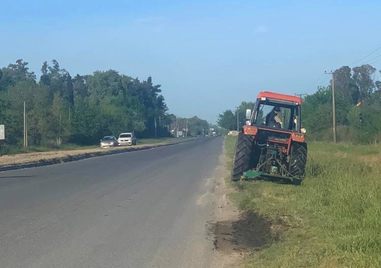 Se reactiva el plan de higiene urbana