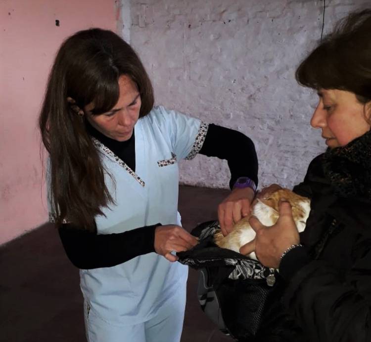 Reprogramación en el cronograma del operativo de sanidad animal