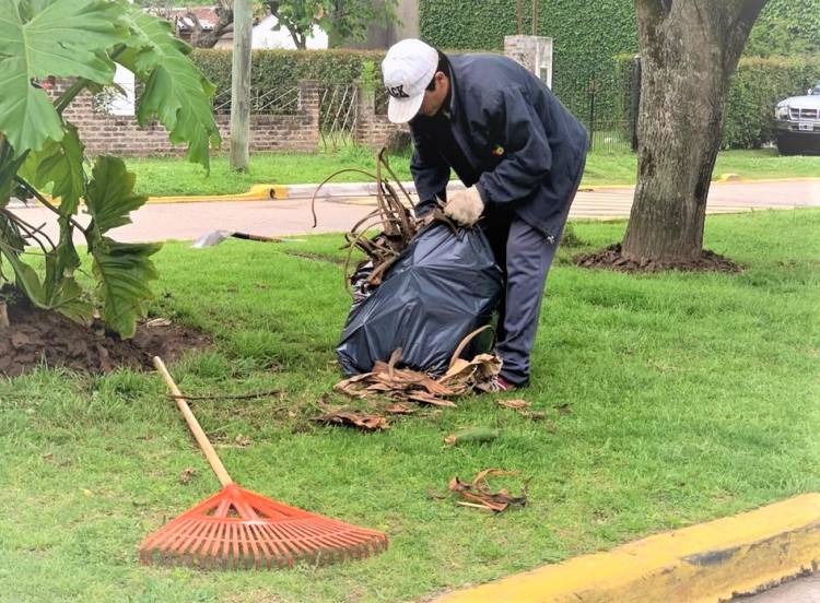 Comienzo de semana con la activación del plan de mantenimiento