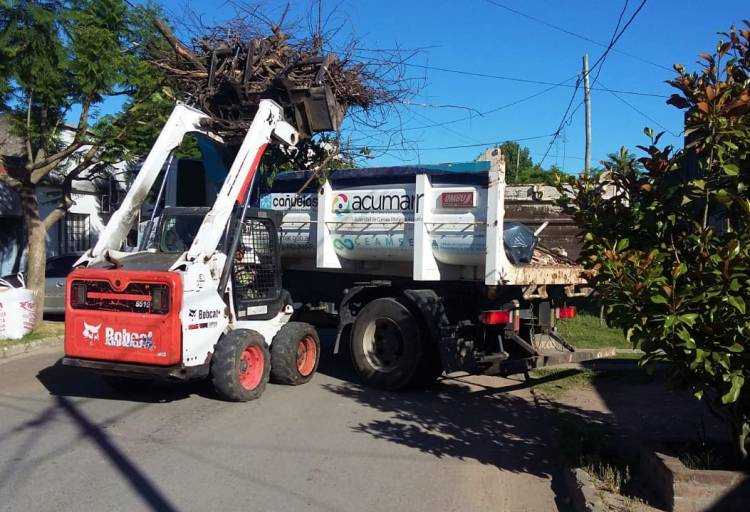 Nuevos trabajos municipales en la vía pública