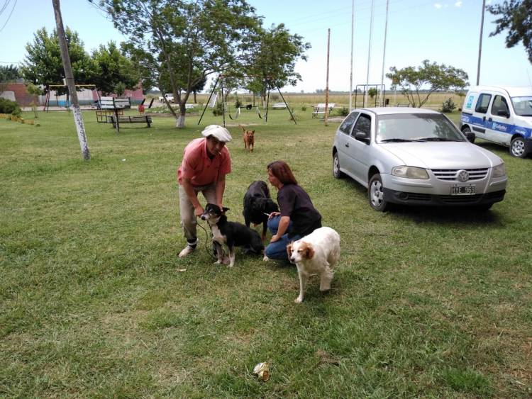 Continúa el operativo de vacunación antirrábica
