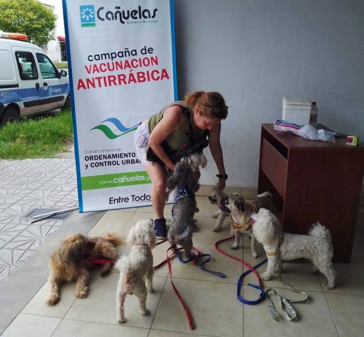 Comenzó la campaña gratuita de vacunación antirrábica 2020