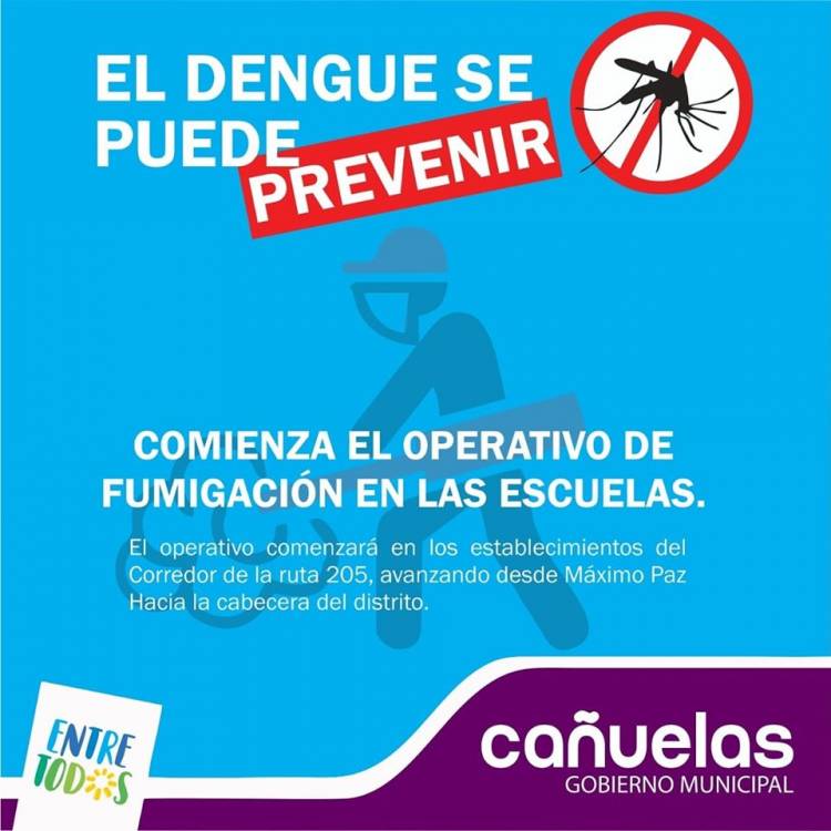Prevención del dengue: comienza el operativo de fumigación en las escuelas