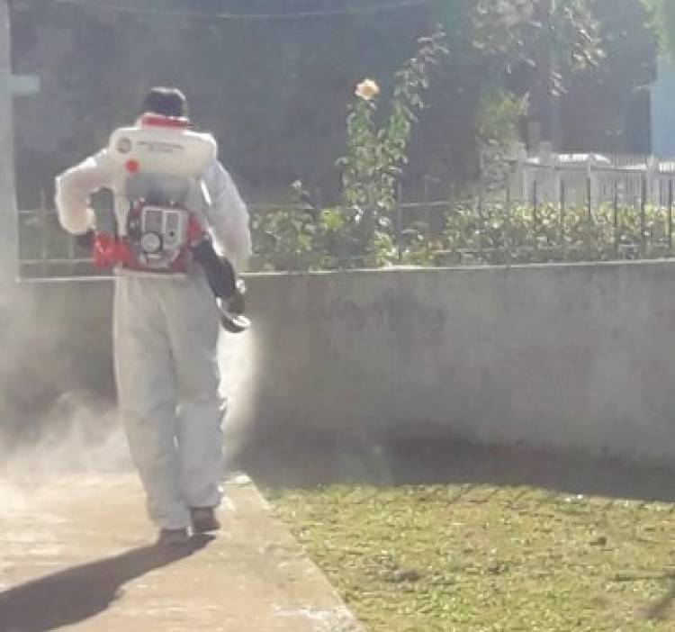 Avanza el operativo de fumigación en las escuelas