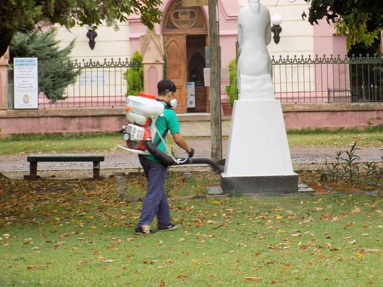 El Municipio continúa con la fumigación en distintos puntos de la ciudad