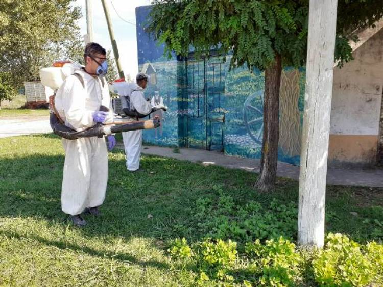 El Municipio continúa con una intensa campaña de desinfección y fumigación