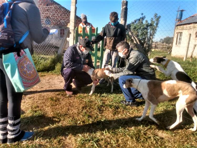 Este martes continuó en el barrio Guzzetti la campaña de vacunación antirrábica a domicilio