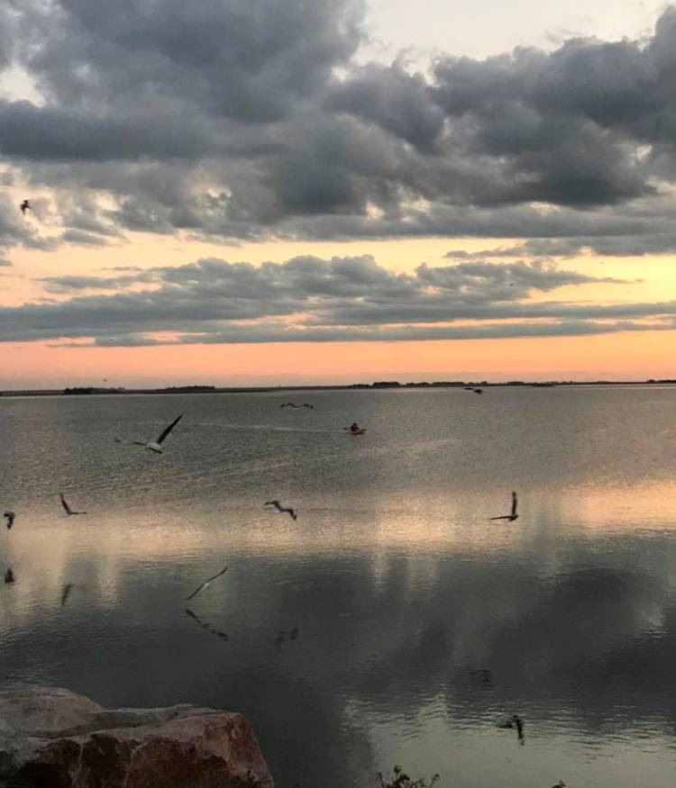 TRES LAGUNAS BONAERENSES PARA CONECTAR CON LA NATURALEZA