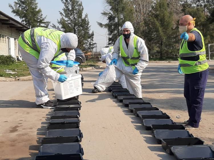 Desratización y desinfección en el Ecopunto