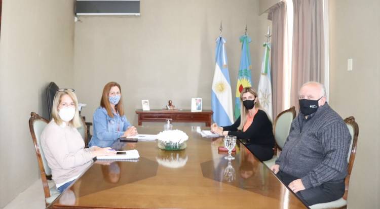 El Municipio planifica un quirófano móvil para castración de mascotas