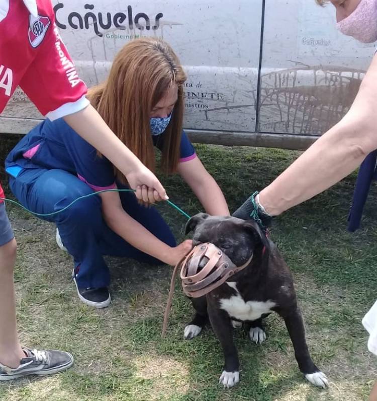 Se completó una nueva jornada de vacunación de mascotas