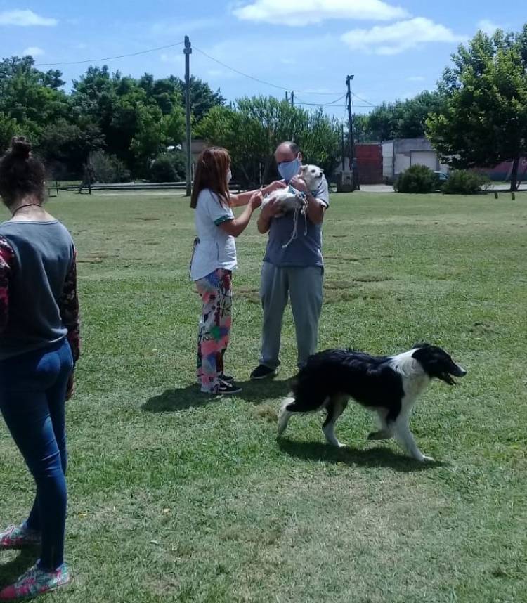 Vacunación de mascotas en barrios y localidades
