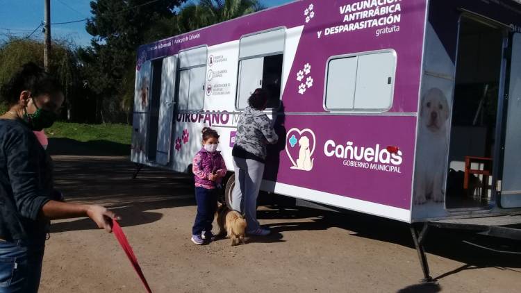 Un nuevo operativo de vacunación antirrábica de mascotas