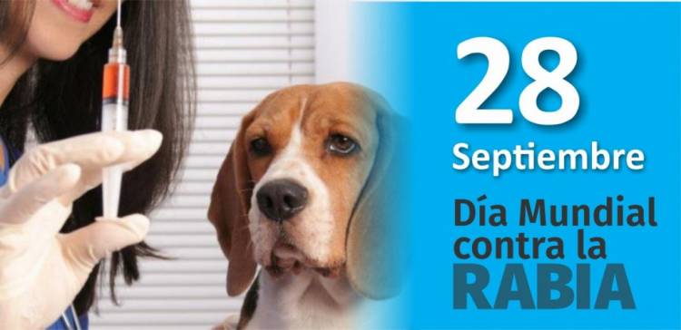 Día de lucha contra la rabia