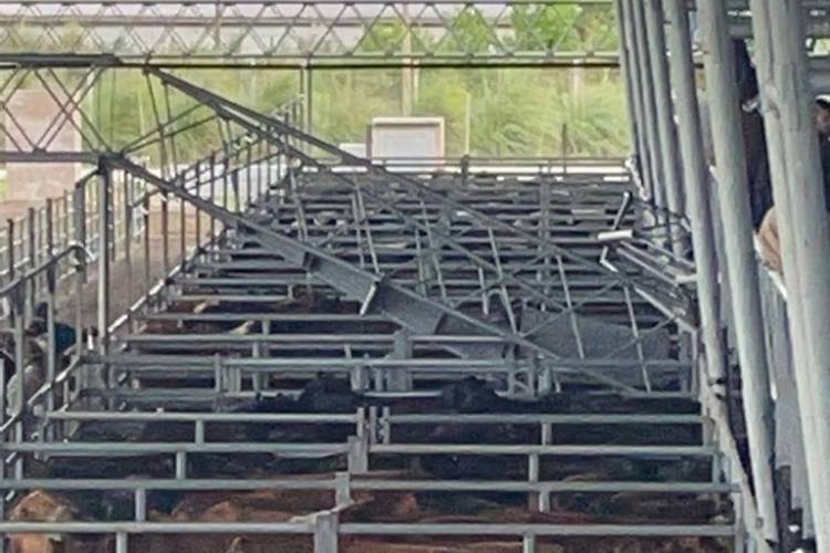 Un accidente interrumpió la primera prueba en el MAG de Cañuelas