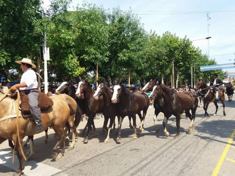 Cronograma de actividades de Tiempo de Gauchos