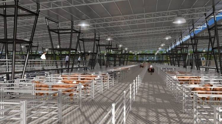 Postergan hasta mayo la mudanza del mercado de hacienda a Cañuelas