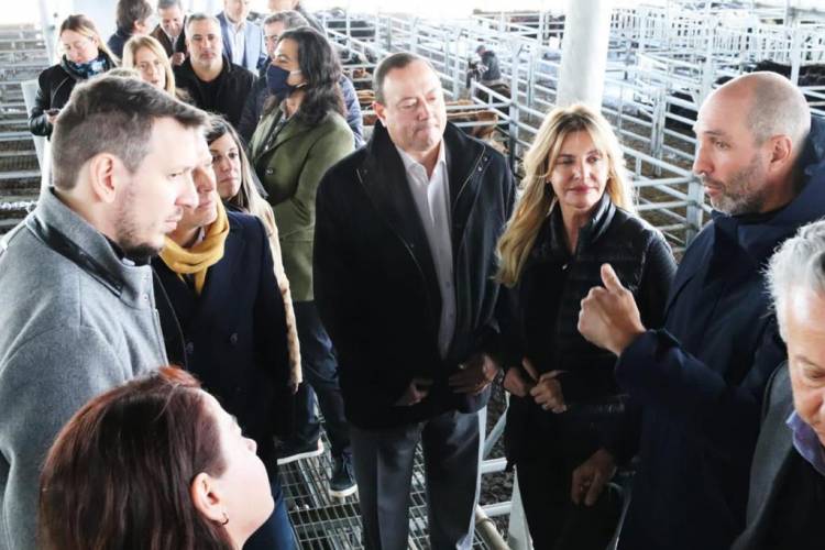 Banco Provincia instalará una sucursal en el Mercado Agro Ganadero