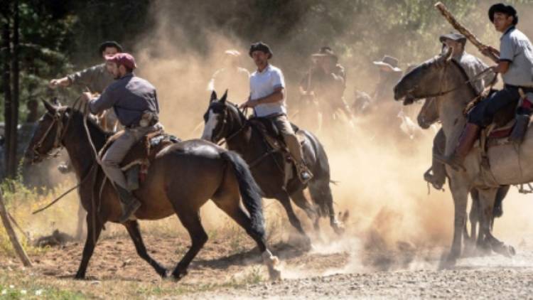 Los Gauchos de Lewis