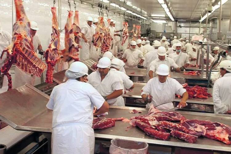 La hacienda ahora cae fuerte y la baja llegaría a las carnicerías la próxima semana